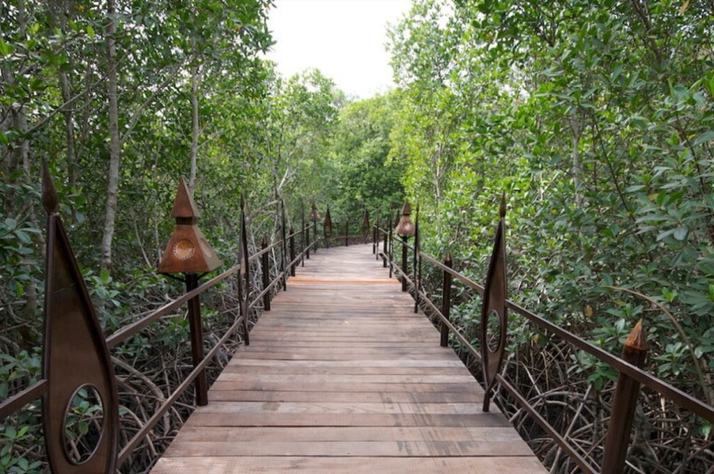 Mandina Lodge, Makasutu Forest, near Banjul, Gambia, West Africa, Africa